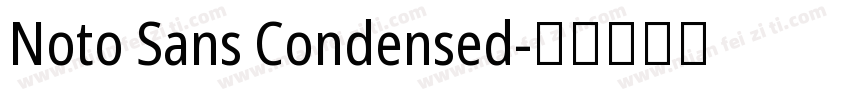 Noto Sans Condensed字体转换